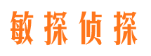 师宗市私家侦探